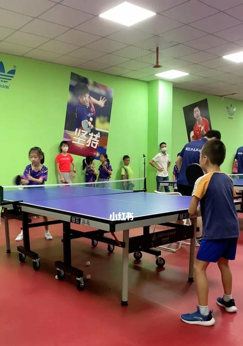 如何准备学习乒乓球（掌握乒乓球技巧的关键是准备充分）