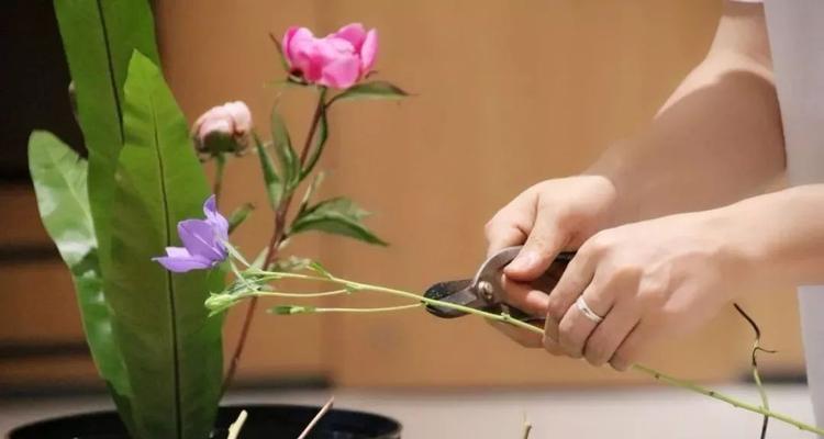 探秘足球场插花脚技巧的魅力（挑战极限，用脚尖绽放花朵的绝技）