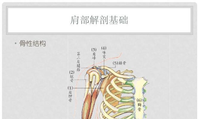 乒乓球——缓解肩周炎的有效治疗方式（通过乒乓球运动，有效缓解肩周炎症状，恢复肩关节健康）