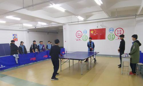 乒乓球分球教学反思——提升技术与战术的关键（乒乓球分球教学的现状及改进策略）