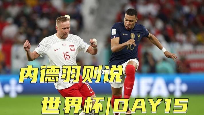 法国世界杯个人进球最多的球员是谁？（究竟是哪位球员在法国世界杯上创造了个人进球最多的纪录？）