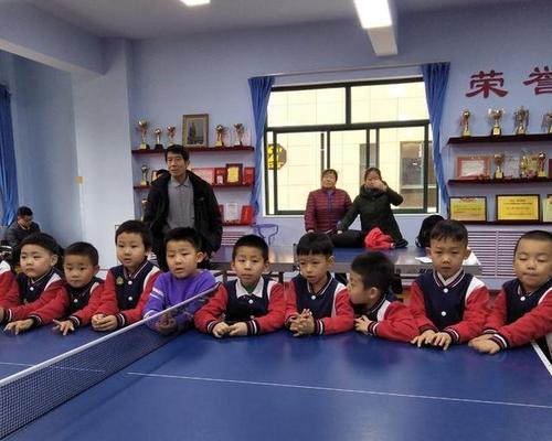 乒乓球世界的小巨人（以乒乓球最小的学员为主题的故事）