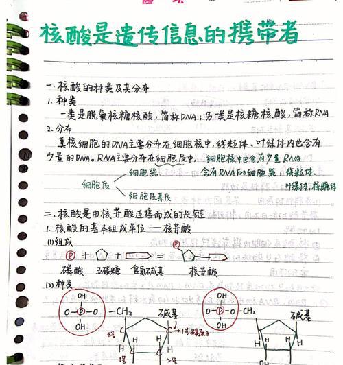 世界杯历史笔记（初二生物笔记探索世界杯的起源、发展与影响力）