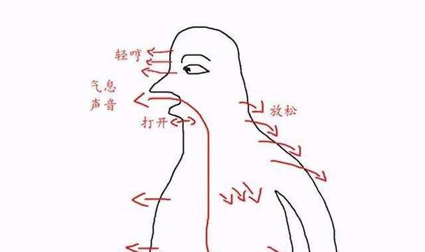 足球球员如何训练发声技巧（掌握关键技巧，提升球场表现）