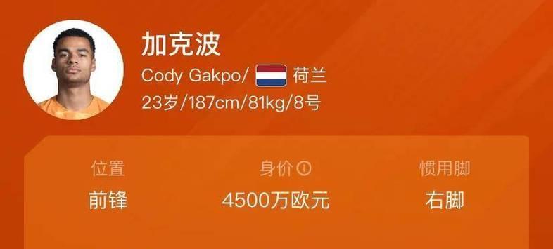 克罗地亚在卡塔尔世界杯的历史战绩（克罗地亚）