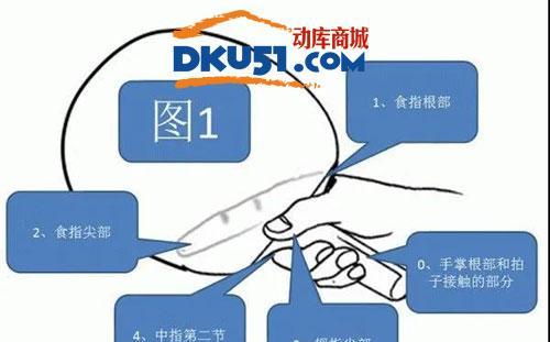 乒乓球横拍转球技巧详解（掌握这些技巧，让你的乒乓球技术更上一层楼）