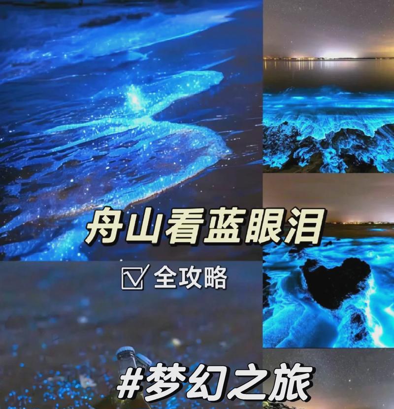 乒乓球滑球技巧大揭秘（从零基础到专业选手，掌握滑球技巧的秘诀）