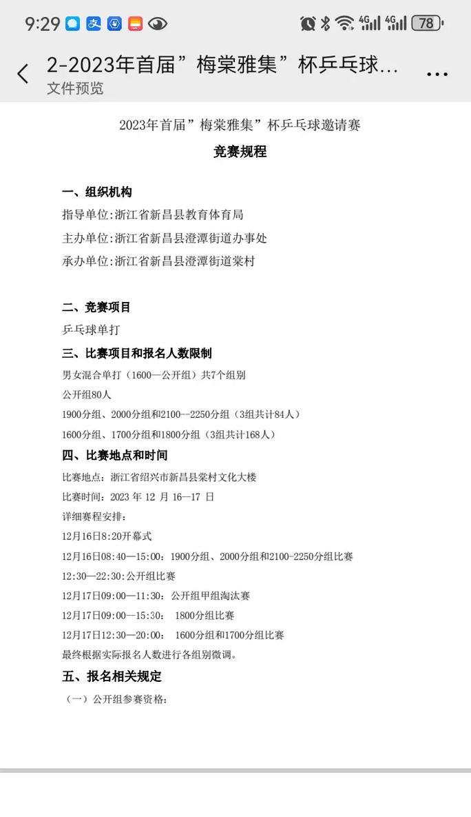 乒乓球（挥拍间的激情与技艺）