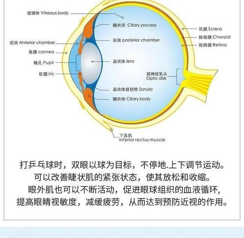 如何评判乒乓球的好坏？