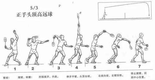 掌握乒乓球技巧的有效练习顺序（从业余乒乓球爱好者到专业水平的提升之路）