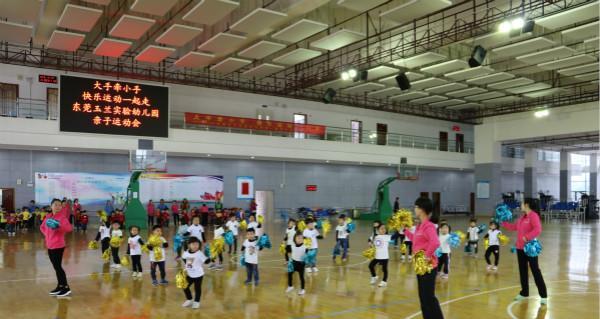 幼儿园排球操动作要领（让孩子们健康成长的排球操！）
