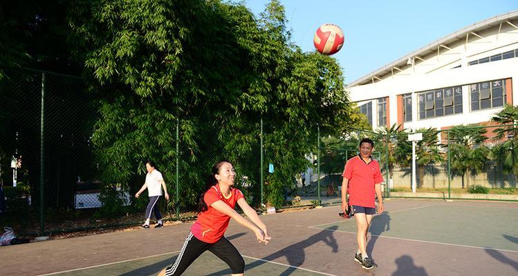 培养小学生排球上手能力的关键要领（让孩子迅速掌握排球基本动作，开启成功之路）