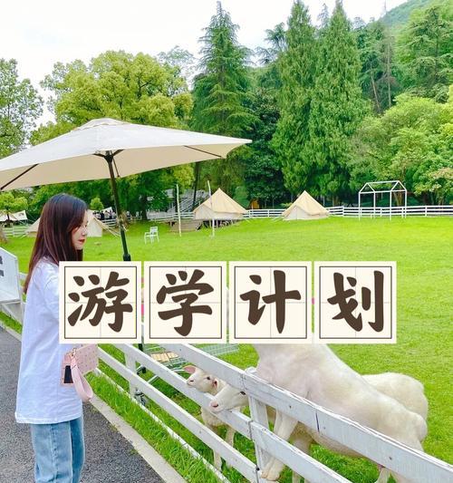 乒乓球36计实战技巧大揭秘（提升你的乒乓球战术水平，赢得比赛的关键秘籍揭秘！）