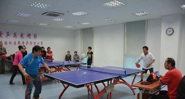 乒乓球技巧大揭秘（掌握乒乓球技巧，成为球坛新王者）